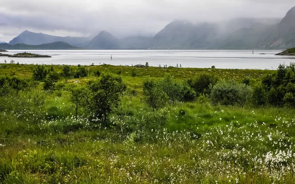 Aldeia no fiorde com um cais na Noruega. Dia nublado — Fotografia de Stock