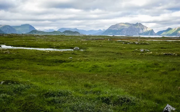 De rotsachtige kust van de fjord van Noorwegen. — Stockfoto