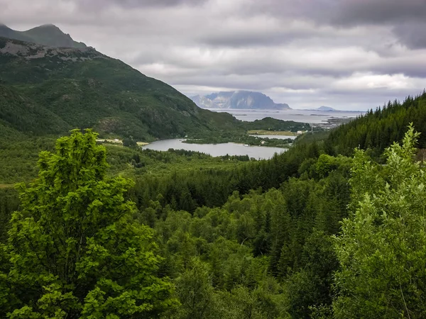 Dorf am Fjord mit einem Steg in Norwegen. bewölkter Tag — Stockfoto
