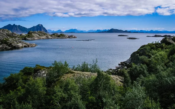 A costa rochosa do fiorde norueguês durante a maré baixa — Fotografia de Stock