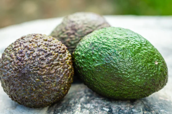 Tre frutti di avocado maturi primo piano — Foto Stock