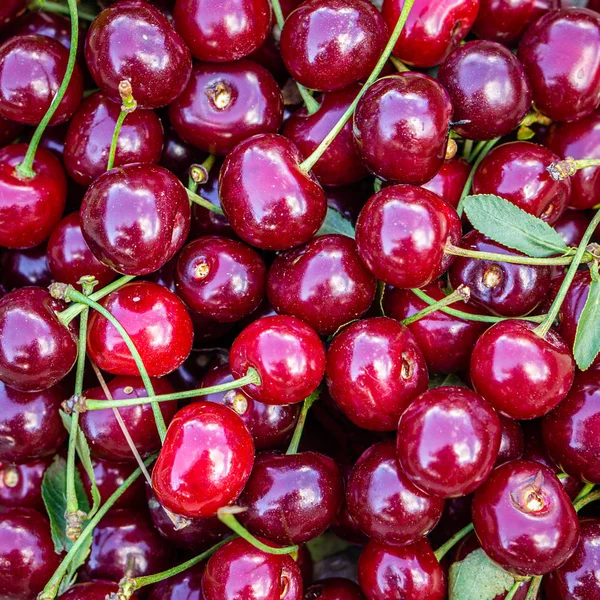 Un mazzo di bacche ciliegie rosse mature primo piano su un tavolo di pietra — Foto Stock