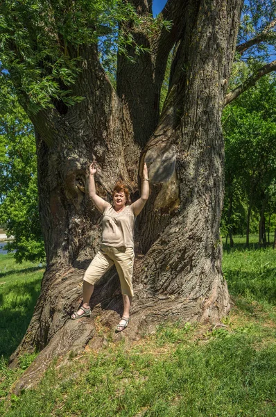 Зрелая женщина-туристка отдыхает у огромного дерева — стоковое фото