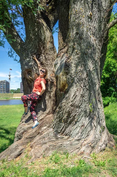 Mature woman tourist resting near a huge tree — Stock Photo, Image