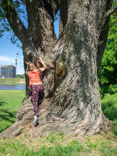 Mature woman tourist resting near a huge tree — Stock Photo, Image