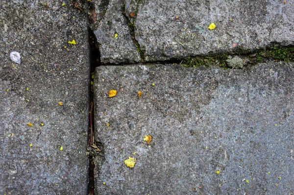 Textura de lajes de pavimentação antigas — Fotografia de Stock