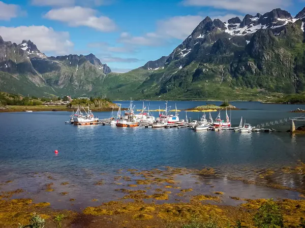 Berço para iates e barcos no fiorde da Noruega. Na distancia — Fotografia de Stock