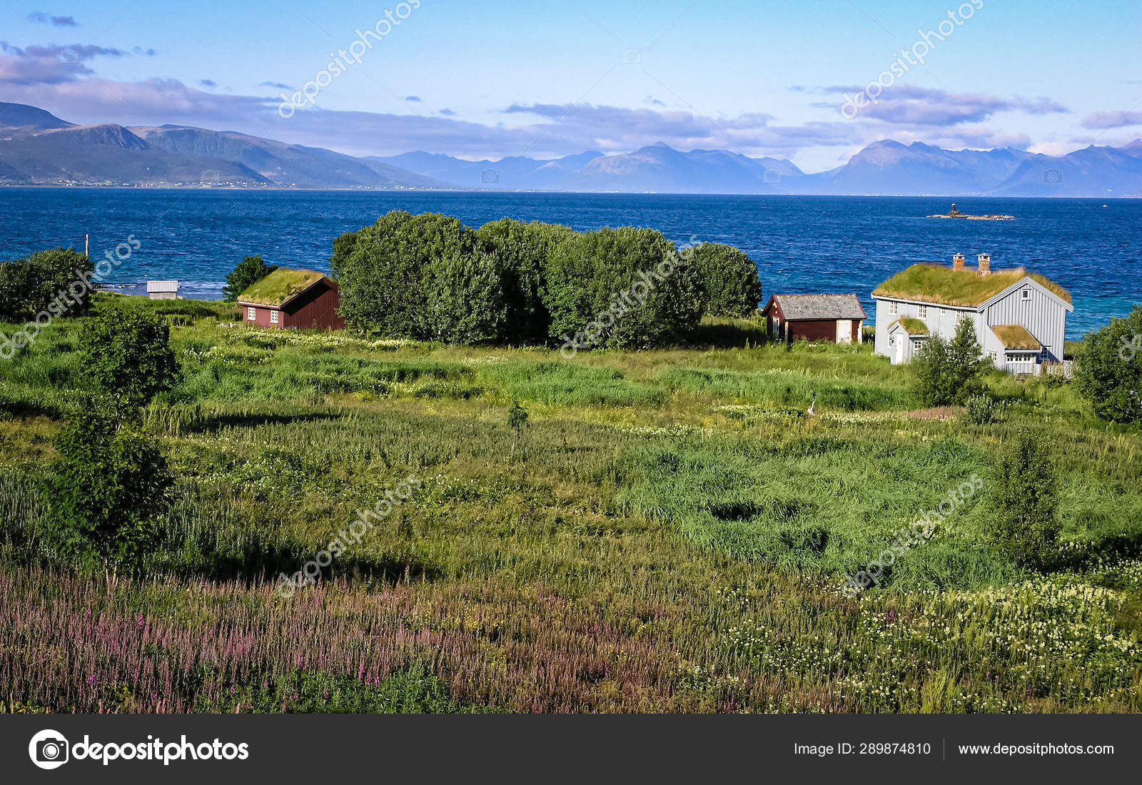 An Der Kuste Des Norwegischen Fjords Ist Haus Mit Einem Rasendach