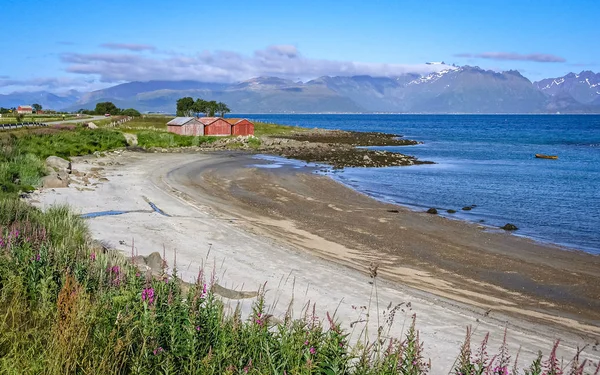 Fjordy v Norsku. Odliv. Sníh v horách — Stock fotografie