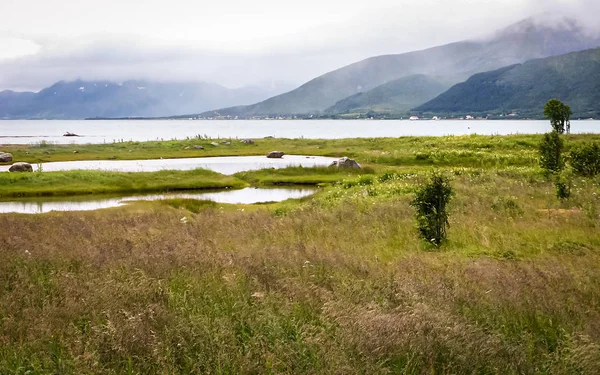 Fjordy v Norsku. Odliv. Sníh v horách. Kameny v — Stock fotografie