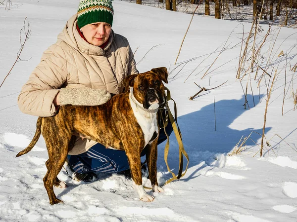 Femme mature marchant avec un boxeur de chien sur une journée d'hiver — Photo