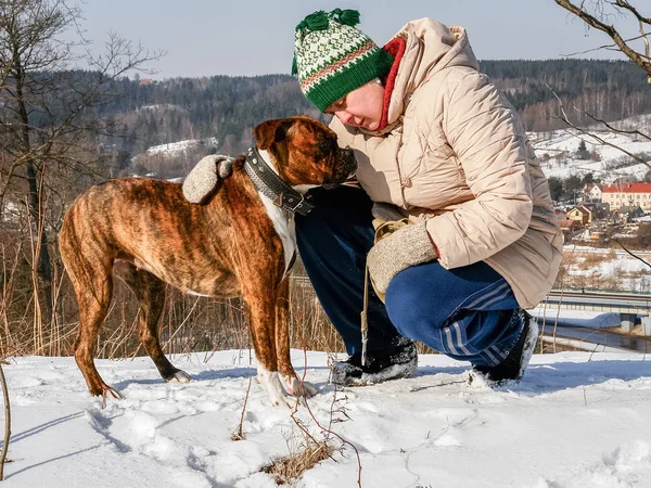 Зрелая женщина гуляет с собачником в зимний день — стоковое фото