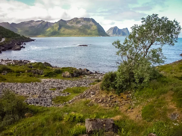 De fjorden van Noorwegen. Rotsachtige kust. Zonnige dag — Stockfoto