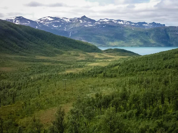Τα φιόρδ της Νορβηγίας. Κοιλάδα στο προσκήνιο — Φωτογραφία Αρχείου