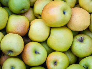 Taze yeşil elma bir kutu, üst görünümü yalan. 