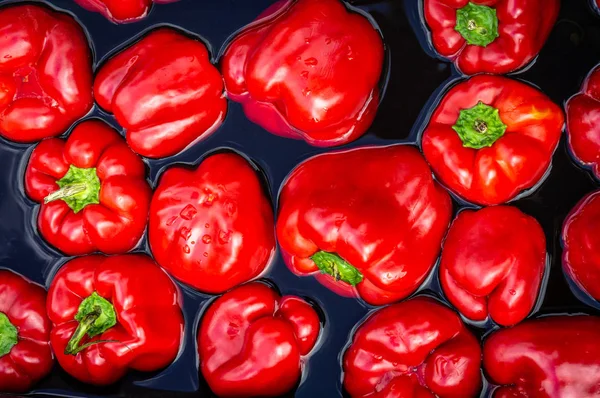 Verse rode paprika gewassen in water, bovenaanzicht — Stockfoto