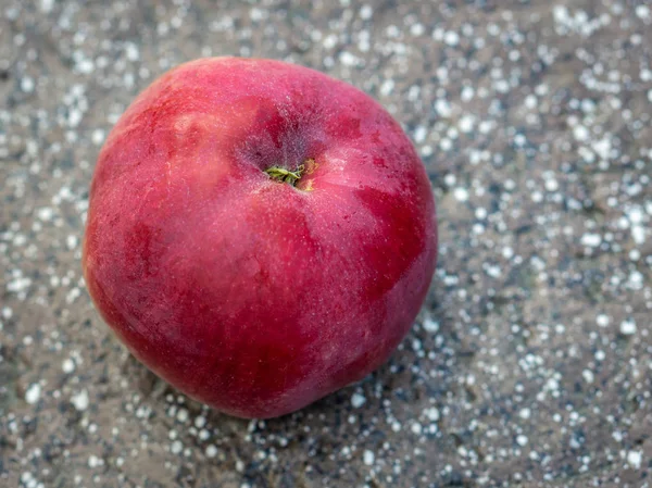 Recién arrancado rojo Apple primer plano mintiendo — Foto de Stock