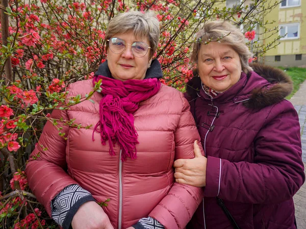 Dos Mujeres Maduras Agradables Están Relajándose Parque Miran Fotógrafo Con —  Fotos de Stock