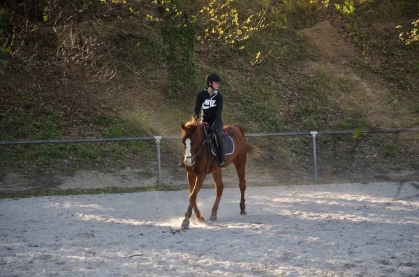 Rider Utbildning Equestrian Center — Stockfoto