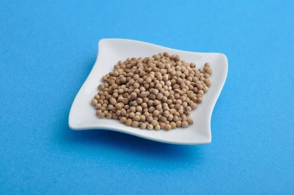 Coriander Seeds Dish — Stock Photo, Image