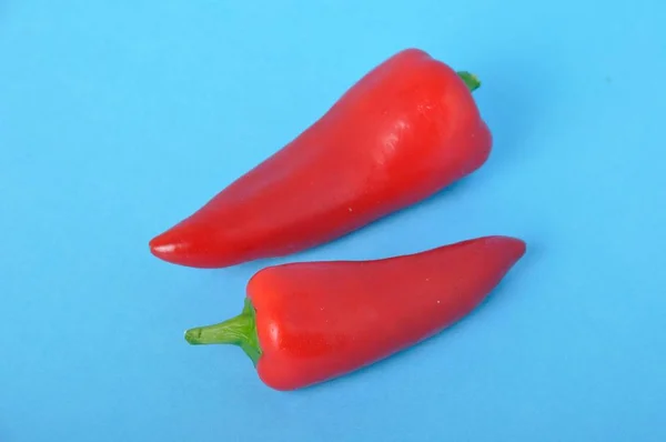 Két Piros Hosszú Paprika Kék Bacground — Stock Fotó