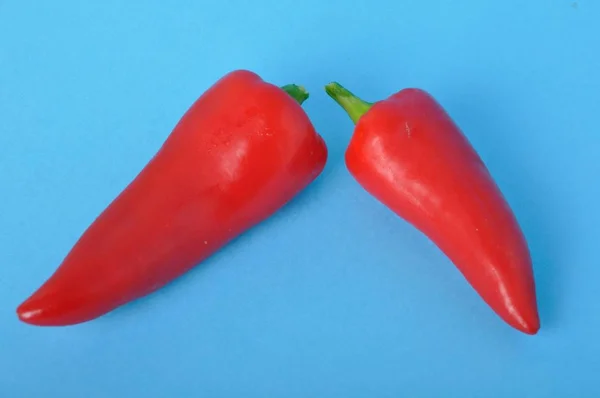 Two Red Long Pepper Blue Bacground — Stock Photo, Image