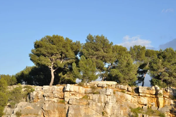 Les Falaises Cassis — Photo