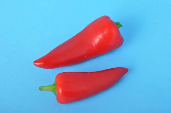 Dos Pimiento Largo Rojo Sobre Fondo Azul — Foto de Stock