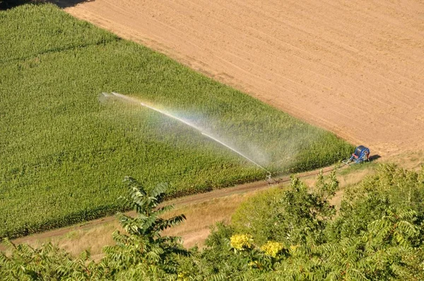 Installation av vatten sprinkler i fält — Stockfoto