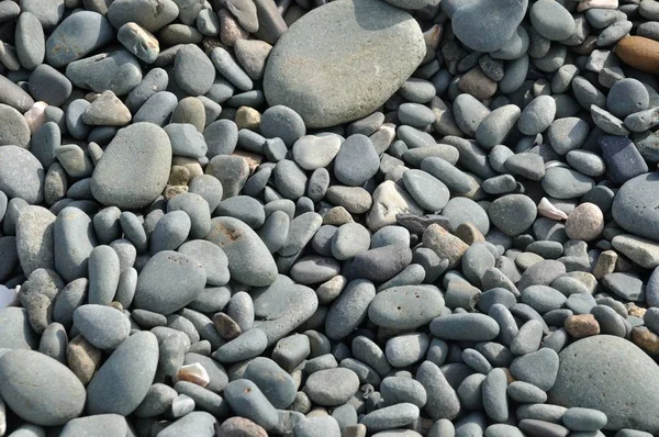 Kerikil latar belakang di pantai — Stok Foto