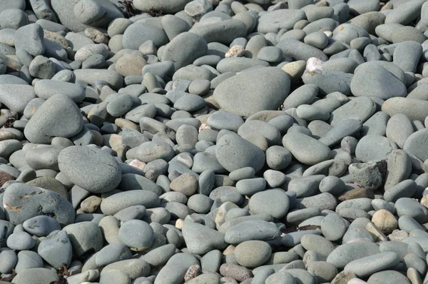 Pebble bakgrund i en strand — Stockfoto