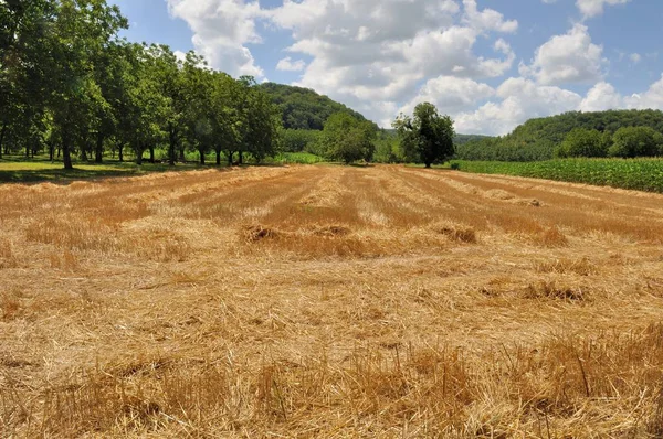 Paisaje rural en Dordoña —  Fotos de Stock