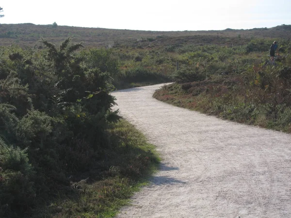 Un sentier sur la côte bretonne, Erquy — Photo