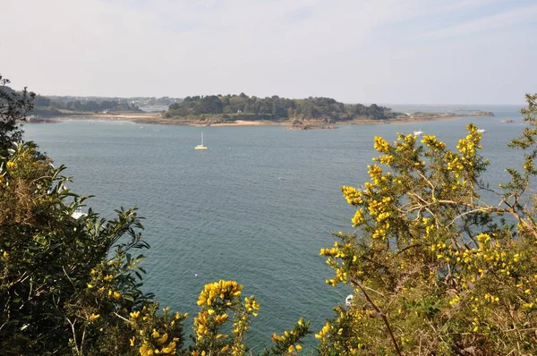 La costa de Bretaña en Loguivy —  Fotos de Stock