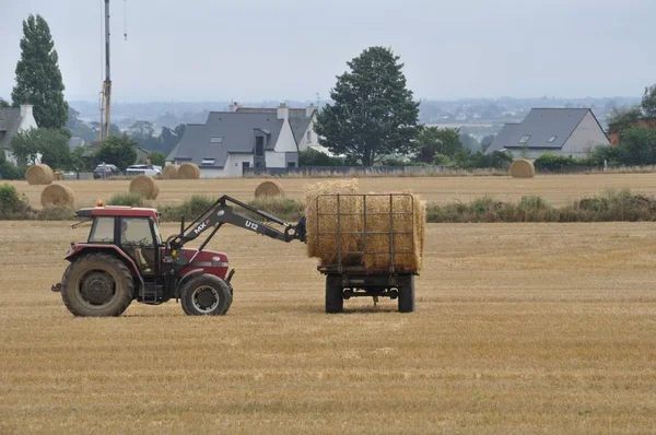 Traktor-Mähdrescher rollt Stroh an — Stockfoto