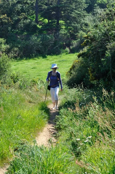 Randonneur sur le GR34 à Plouha — Photo