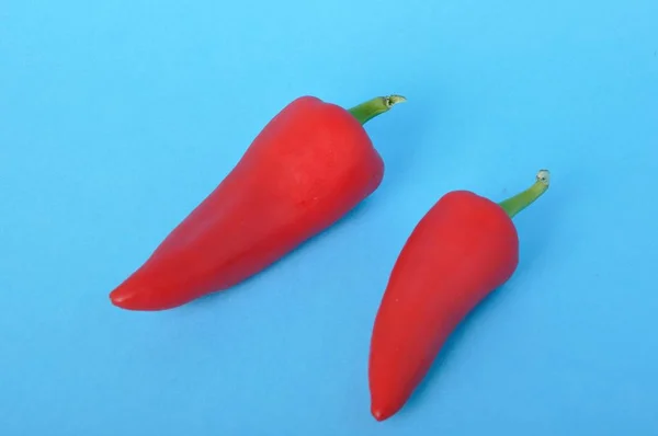 Pimienta roja larga en bacground azul — Foto de Stock