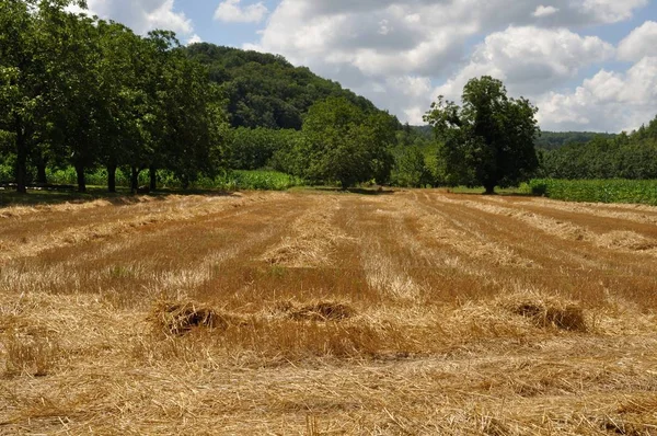 Paisaje rural en Dordoña — Foto de Stock