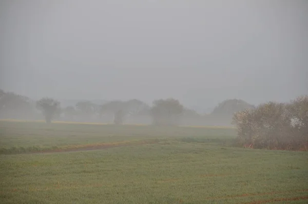 The countryside in the mist at Plerin — Stock Photo, Image