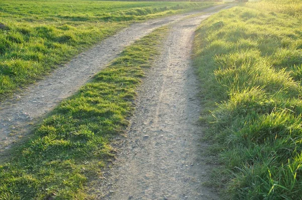 A path in Brittany — Stock Photo, Image