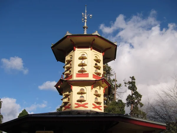 Palomar en el parque Thabor — Foto de Stock