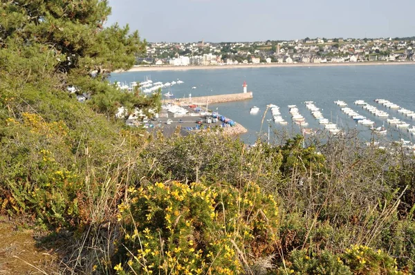 Erquy Harbor seen from headland — Stock Photo, Image