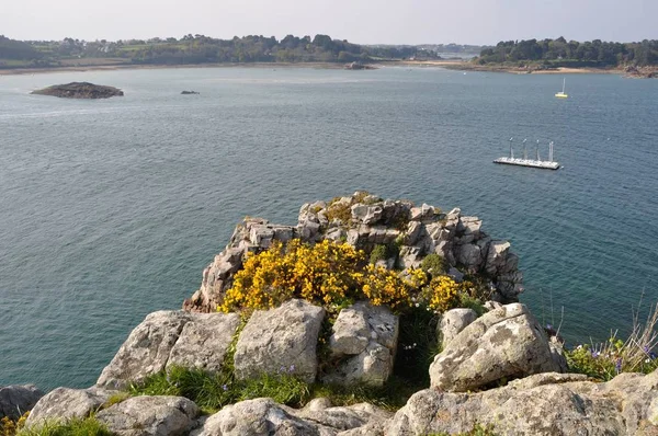 A costa da Bretanha em Loguivy — Fotografia de Stock