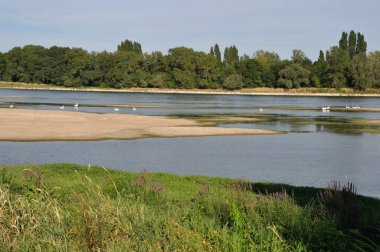 Bouchemaine'deki Loire'ın kenarları