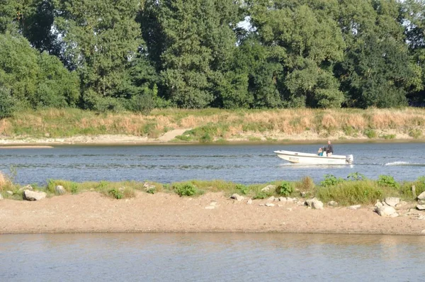 The edges of the Loire at Bouchemaine — Stock Photo, Image