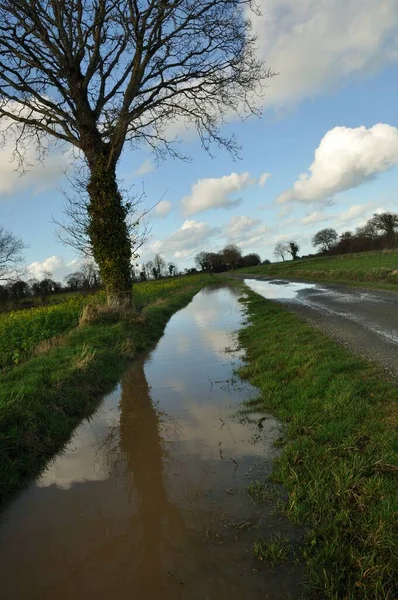 Une Voie Campagne Inondée Bretagne — Photo