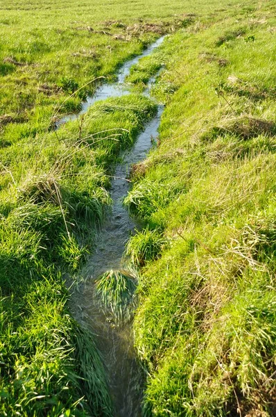 ブルターニュの氾濫原を排水するために掘られた水路 — ストック写真