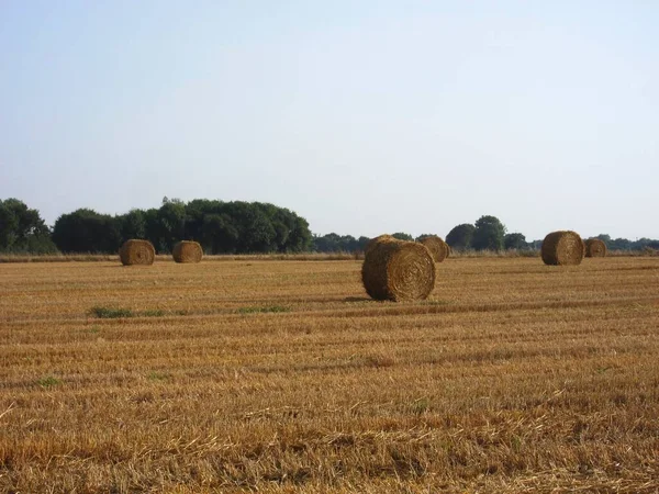 Strohballen Der Bretagne — Stockfoto