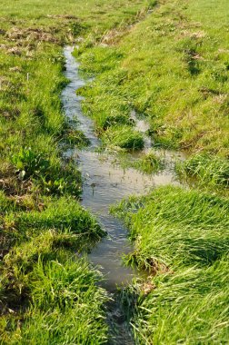 Brittany 'de sel basmış bir alanı boşaltmak için kanal kazıldı