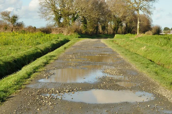 Une Voie Campagne Inondée Bretagne — Photo